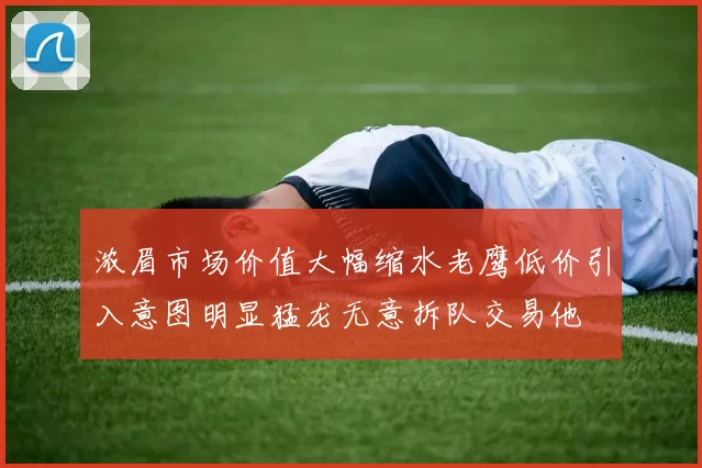 浓眉市场价值大幅缩水老鹰低价引入意图明显猛龙无意拆队交易他
