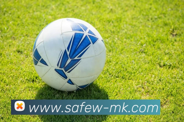 MK体育平台生态图